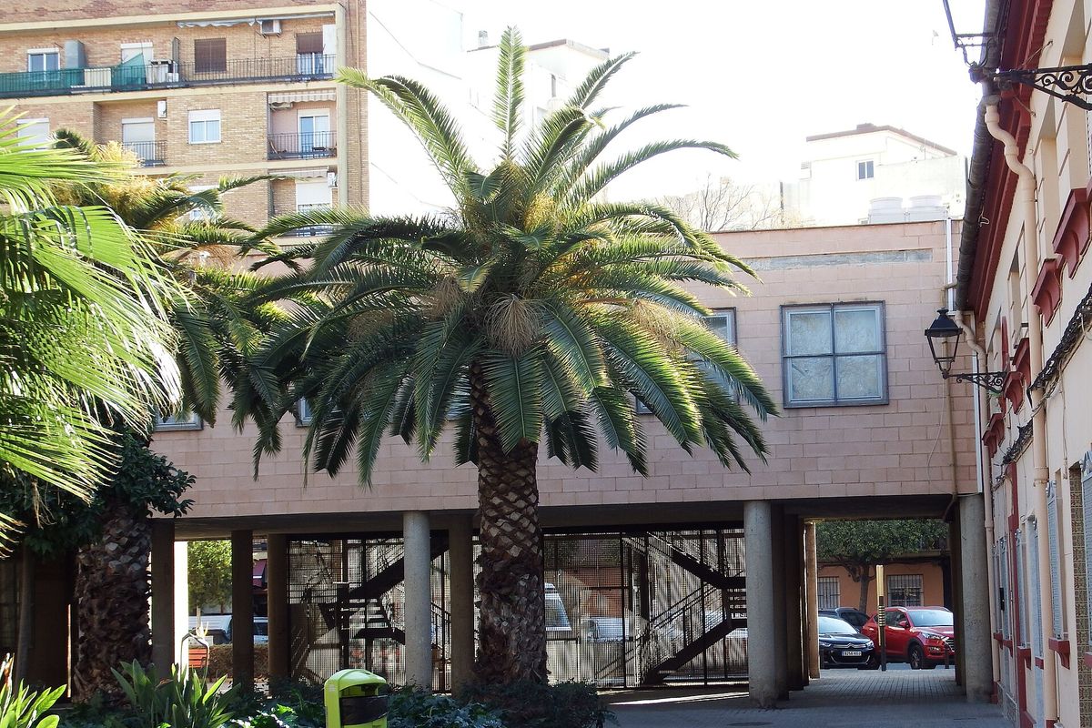 Barrio de Torrefiel, Valencia